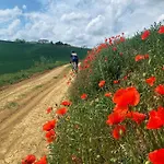 Gæstehus Ca Del Prete Country By Ca Degli Ovi