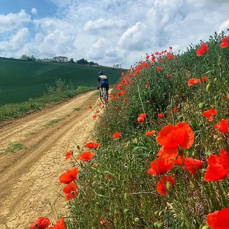 게스트하우스 Ca Del Prete Country By Ca Degli Ovi