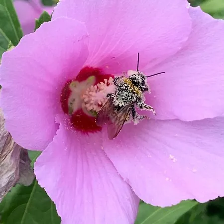 Ca Del Prete Country By Ca Degli Ovi Гостевой дом