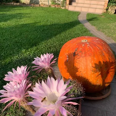 Гостевой дом Ca Del Prete Country By Ca Degli Ovi 3*