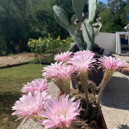 Ca Del Prete Country By Ca Degli Ovi 3* Валенца